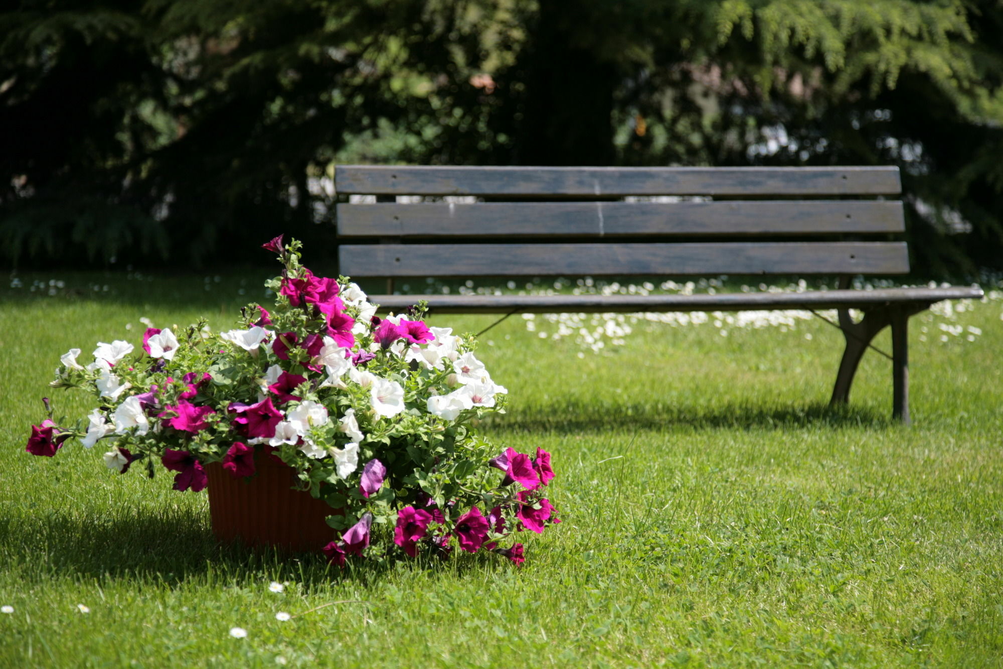 Hotel Bassetto Ferentino Eksteriør bilde